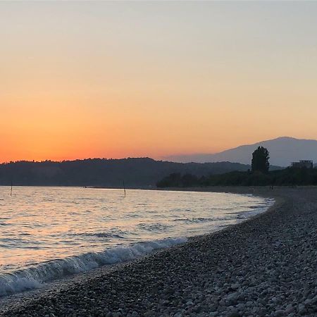 Solnechny Bereg Guest House Gudauta Εξωτερικό φωτογραφία