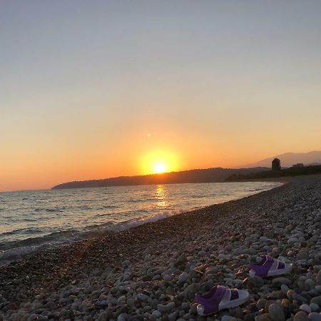 Solnechny Bereg Guest House Gudauta Εξωτερικό φωτογραφία