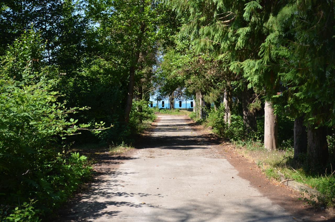 Solnechny Bereg Guest House Gudauta Εξωτερικό φωτογραφία