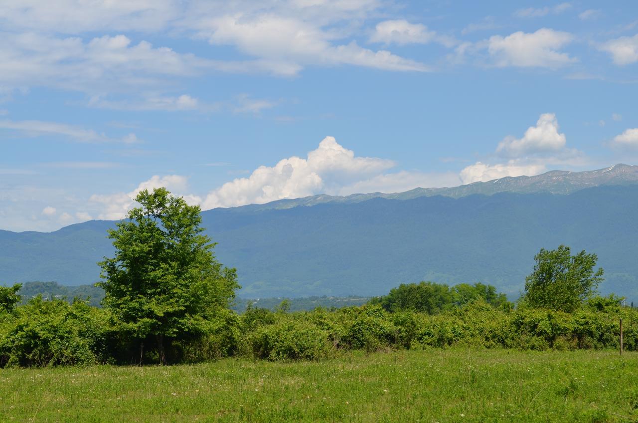 Solnechny Bereg Guest House Gudauta Εξωτερικό φωτογραφία