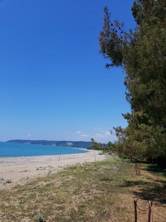Solnechny Bereg Guest House Gudauta Εξωτερικό φωτογραφία