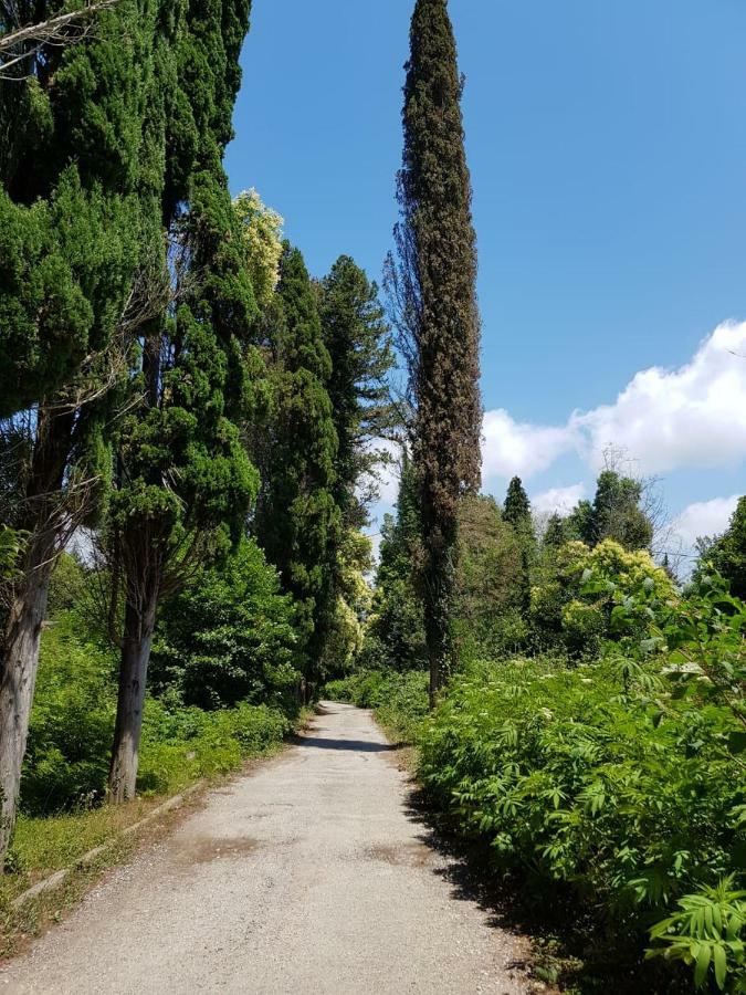 Solnechny Bereg Guest House Gudauta Εξωτερικό φωτογραφία
