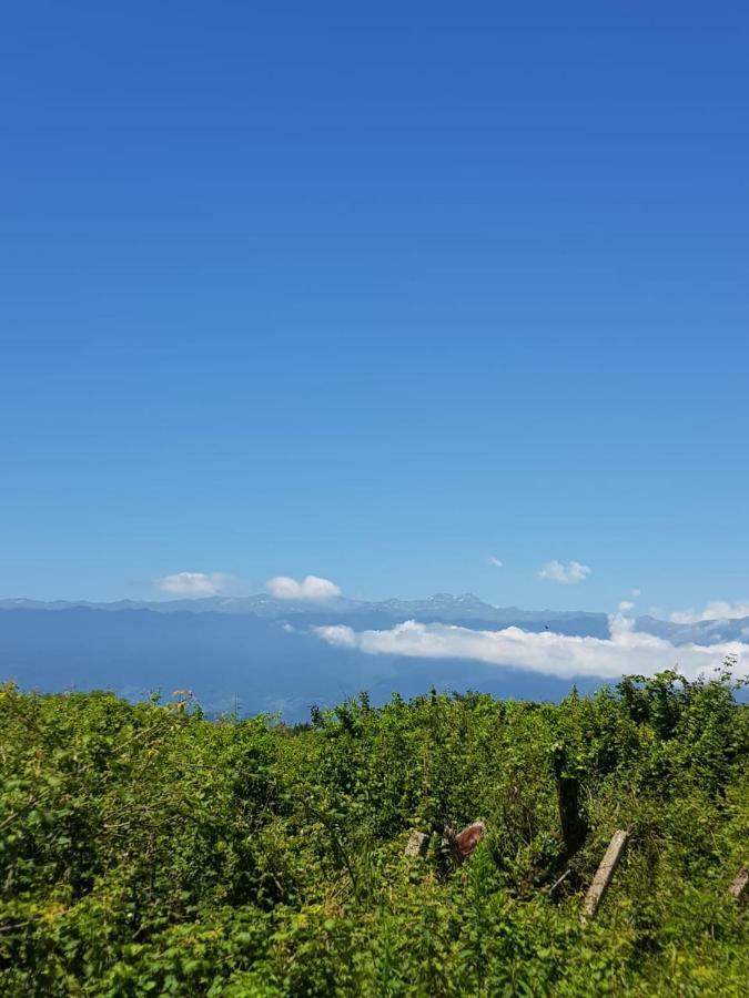 Solnechny Bereg Guest House Gudauta Εξωτερικό φωτογραφία