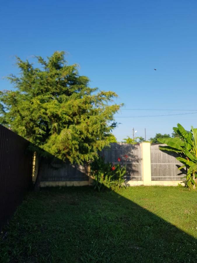 Solnechny Bereg Guest House Gudauta Εξωτερικό φωτογραφία