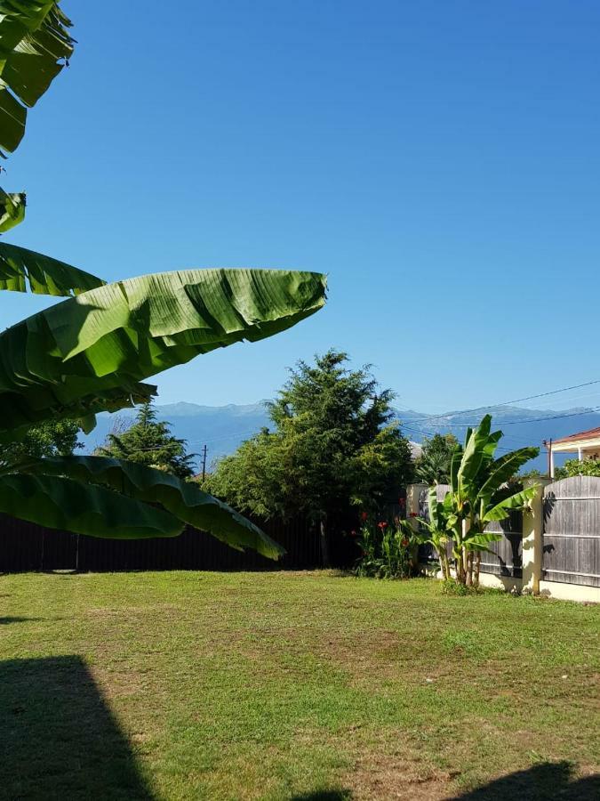Solnechny Bereg Guest House Gudauta Εξωτερικό φωτογραφία