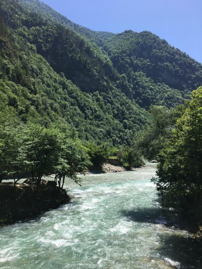 Solnechny Bereg Guest House Gudauta Εξωτερικό φωτογραφία